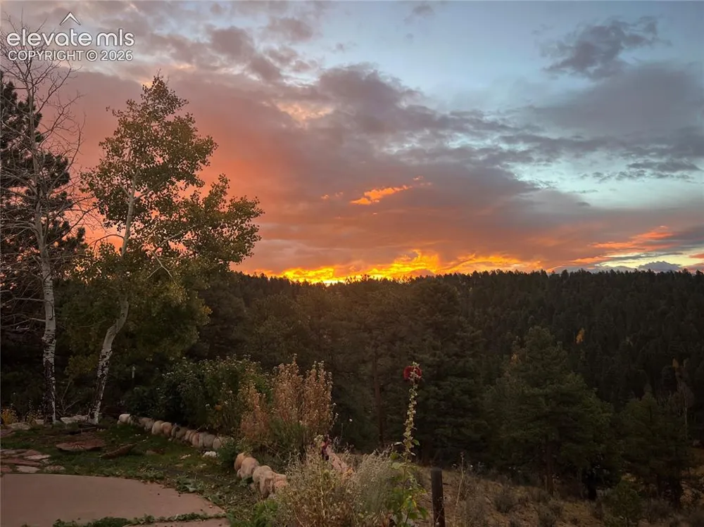 4687 W Highway 24 Florissant, CO 80816
