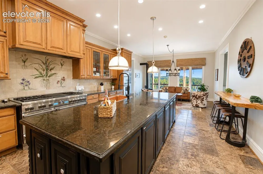 4687 W Highway 24 Florissant, CO 80816