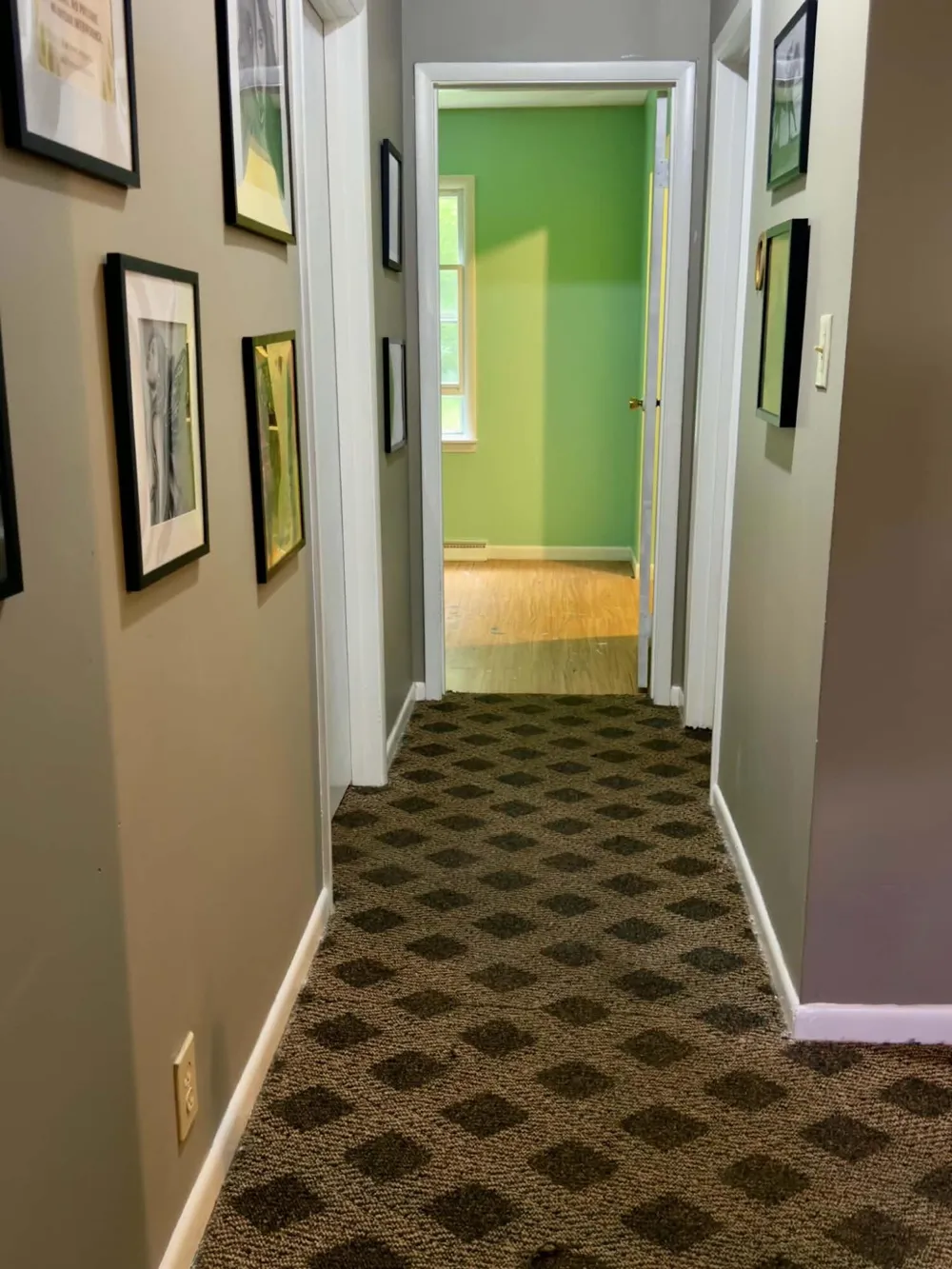 257 Edgewood Drive Quincy, MI 49082