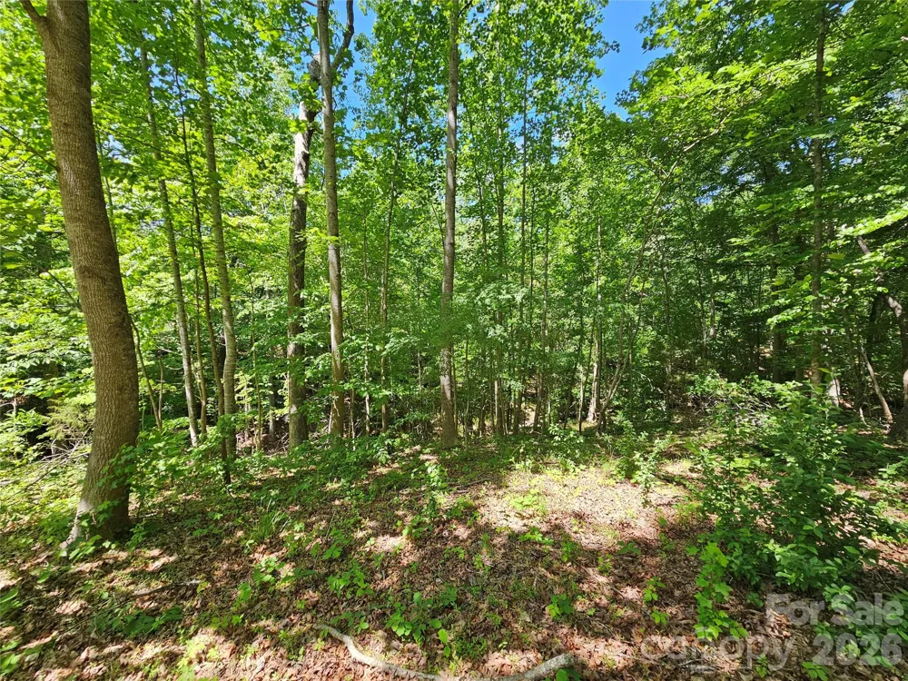 5692 Brooklyn Road Great Falls, SC 29055