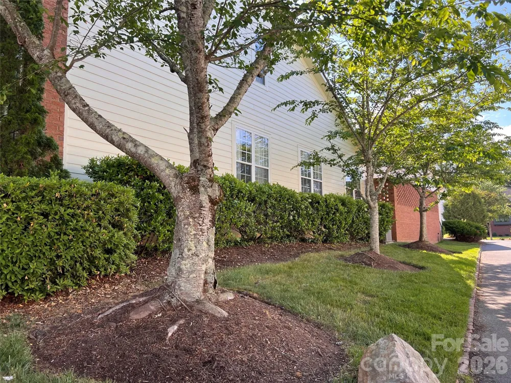 239 Twain Avenue Davidson, NC 28036