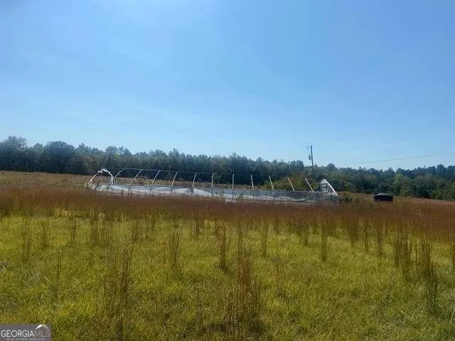1339 Jones Chapel Road Sparta, GA 31087