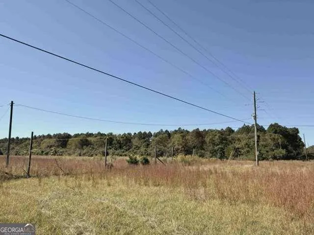 1339 Jones Chapel Road Sparta, GA 31087