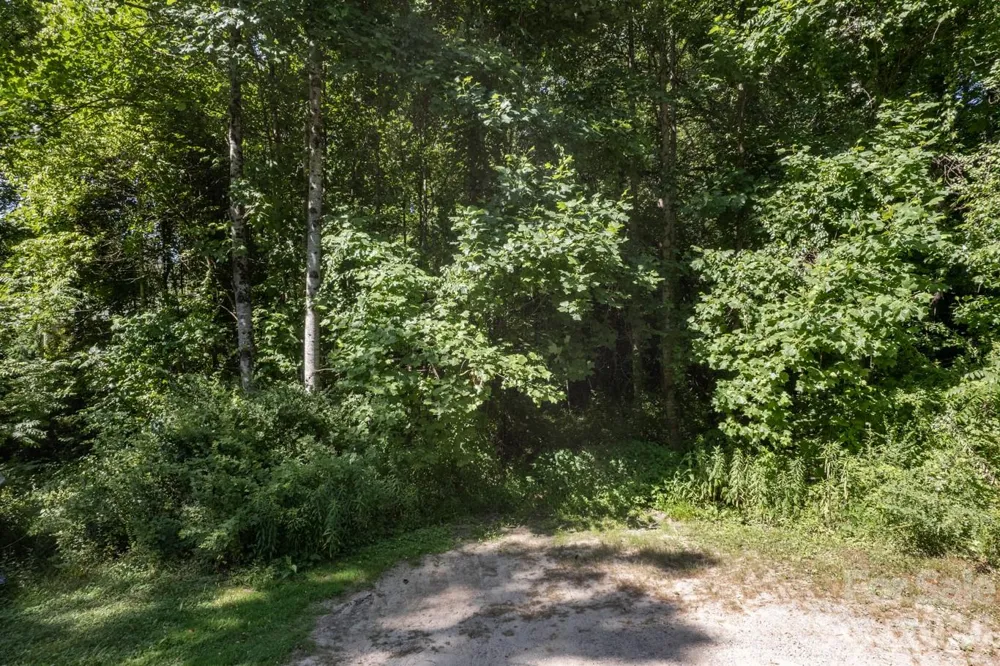 17 Chicago Avenue Black Mountain, NC 28711