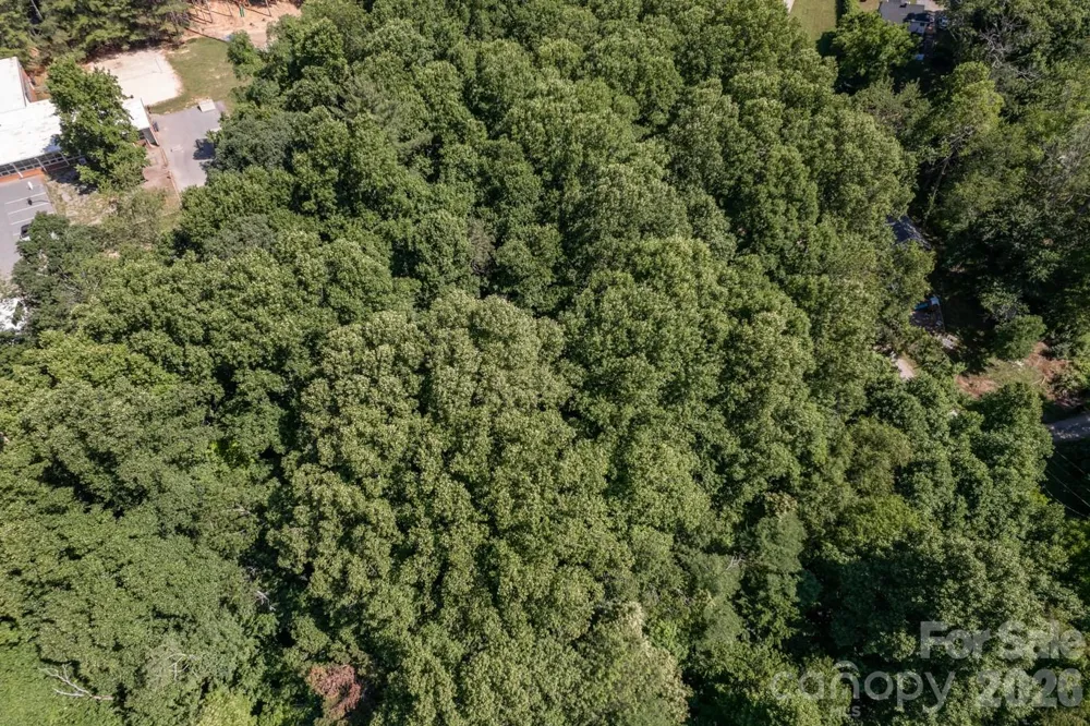 17 Chicago Avenue Black Mountain, NC 28711