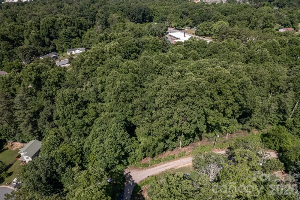 17 Chicago Avenue Black Mountain, NC 28711