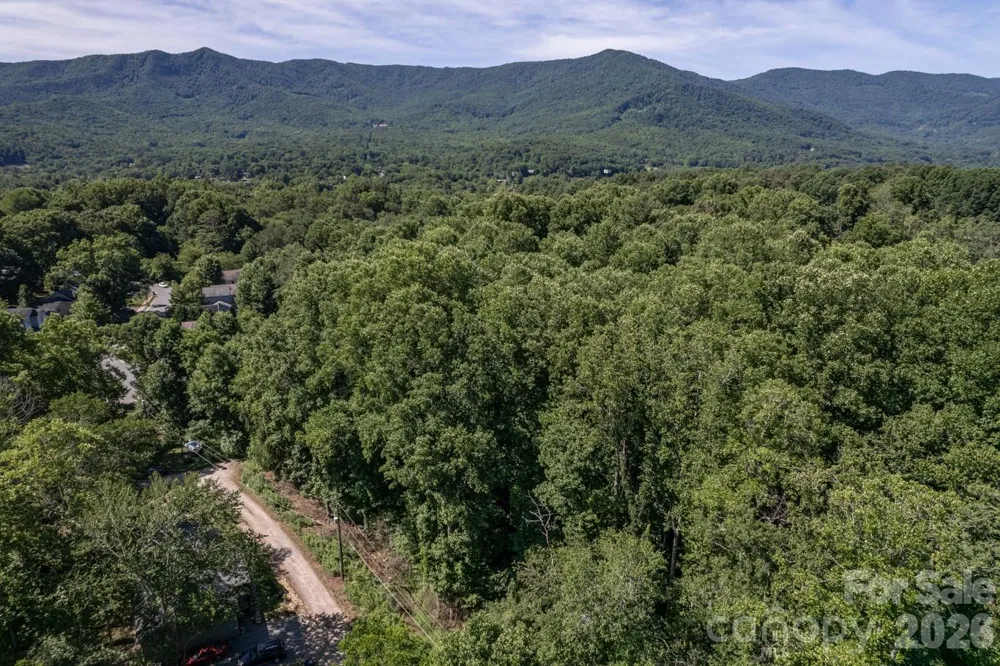 17 Chicago Avenue Black Mountain, NC 28711