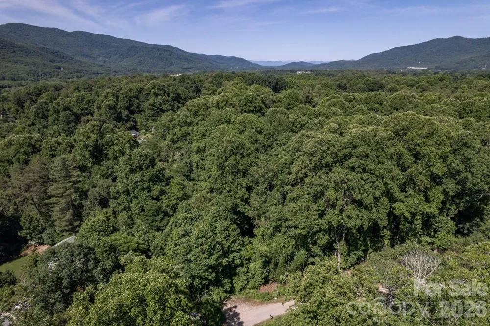 17 Chicago Avenue Black Mountain, NC 28711