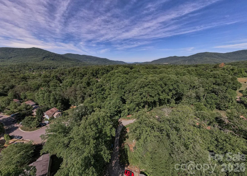 17 Chicago Avenue Black Mountain, NC 28711