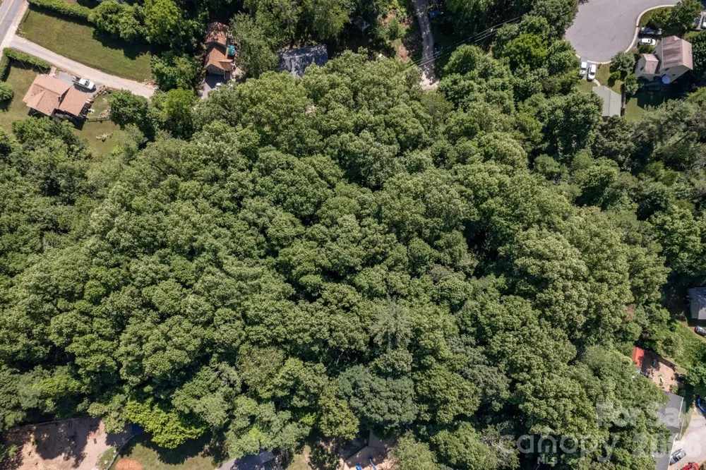 17 Chicago Avenue Black Mountain, NC 28711