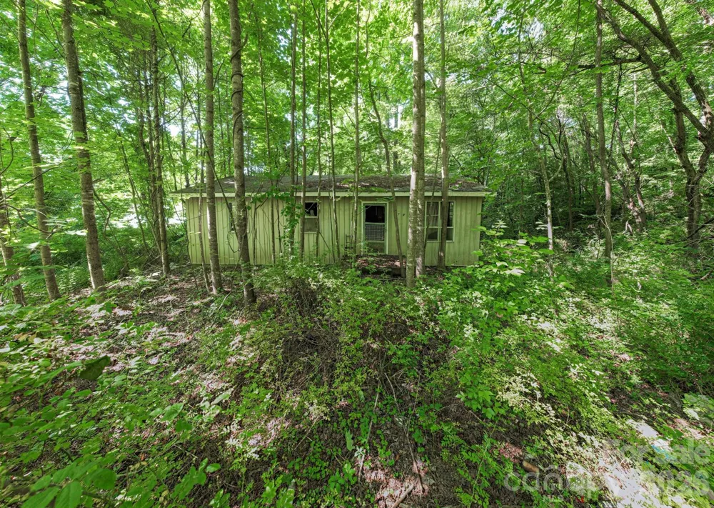 17 Chicago Avenue Black Mountain, NC 28711