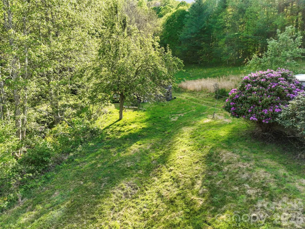 3454 Puncheon Fork Road Mars Hill, NC 28754