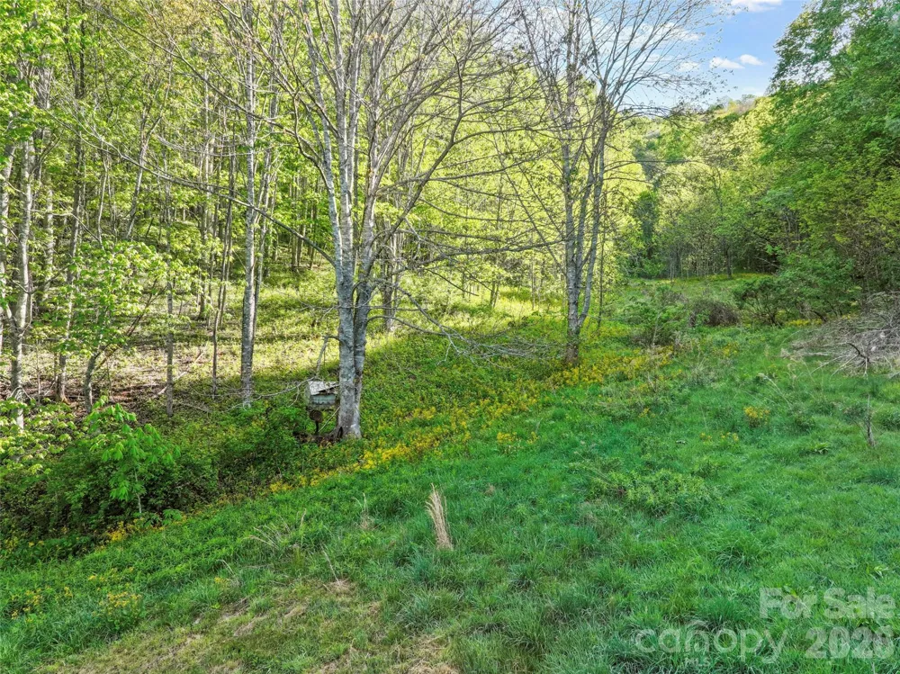 3454 Puncheon Fork Road Mars Hill, NC 28754