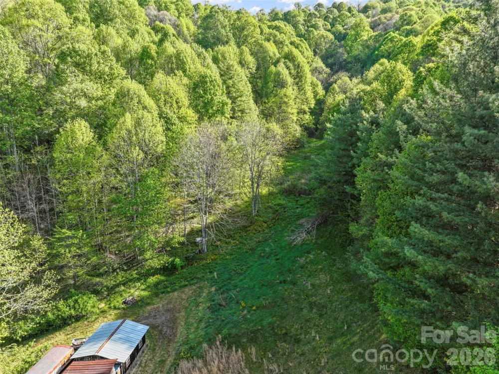 3454 Puncheon Fork Road Mars Hill, NC 28754