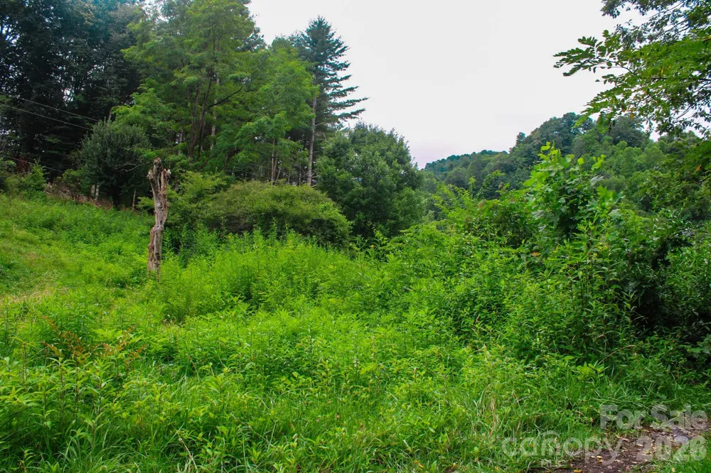 3454 Puncheon Fork Road Mars Hill, NC 28754