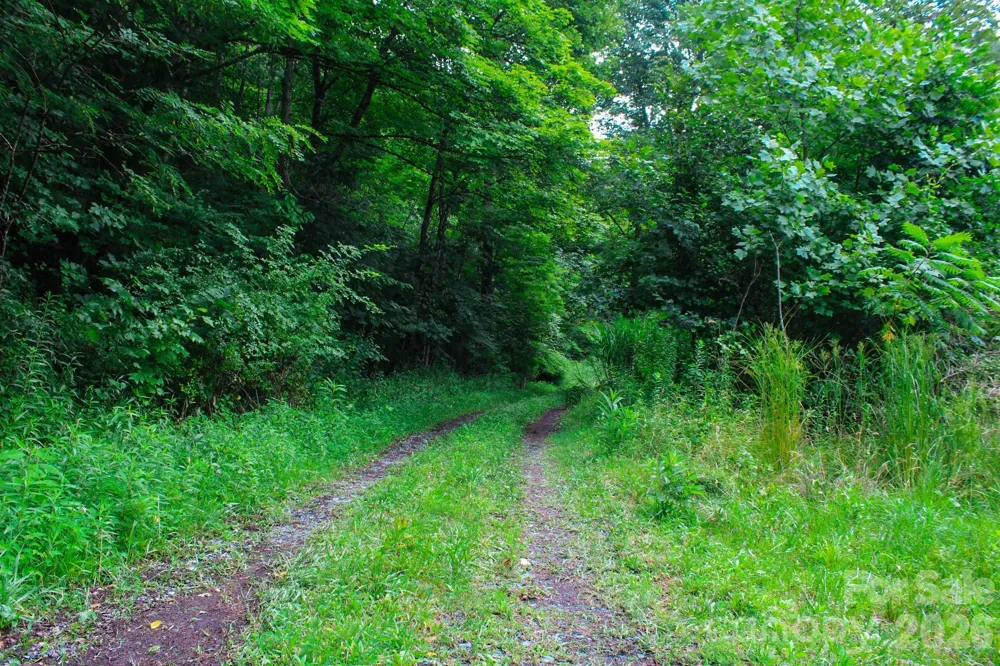 3454 Puncheon Fork Road Mars Hill, NC 28754