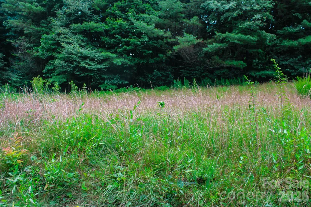 3454 Puncheon Fork Road Mars Hill, NC 28754
