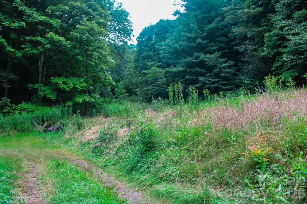 3454 Puncheon Fork Road Mars Hill, NC 28754
