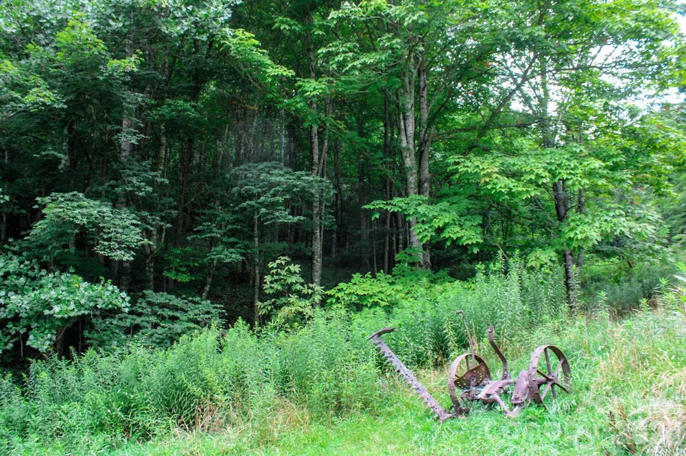 3454 Puncheon Fork Road Mars Hill, NC 28754