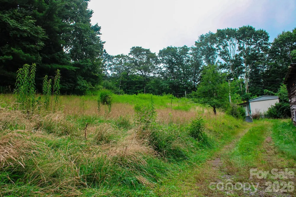 3454 Puncheon Fork Road Mars Hill, NC 28754