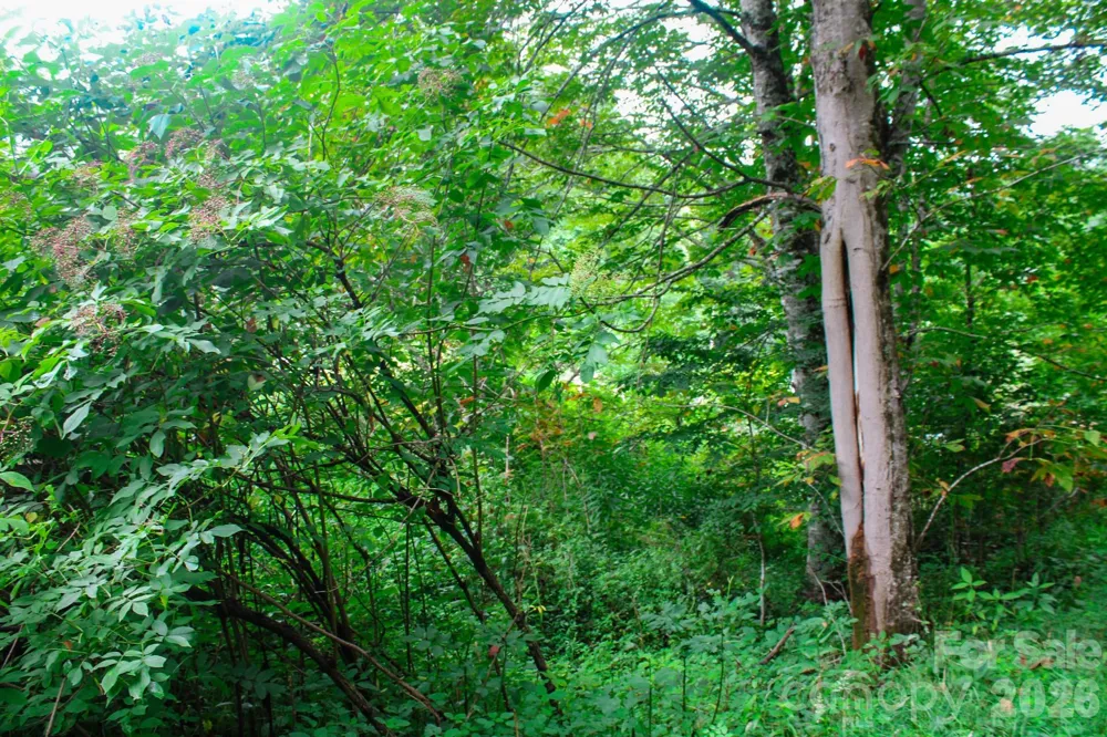 3454 Puncheon Fork Road Mars Hill, NC 28754