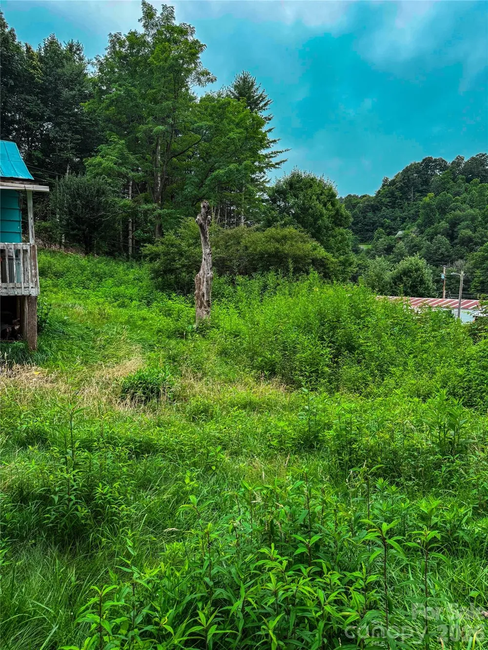 3454 Puncheon Fork Road Mars Hill, NC 28754