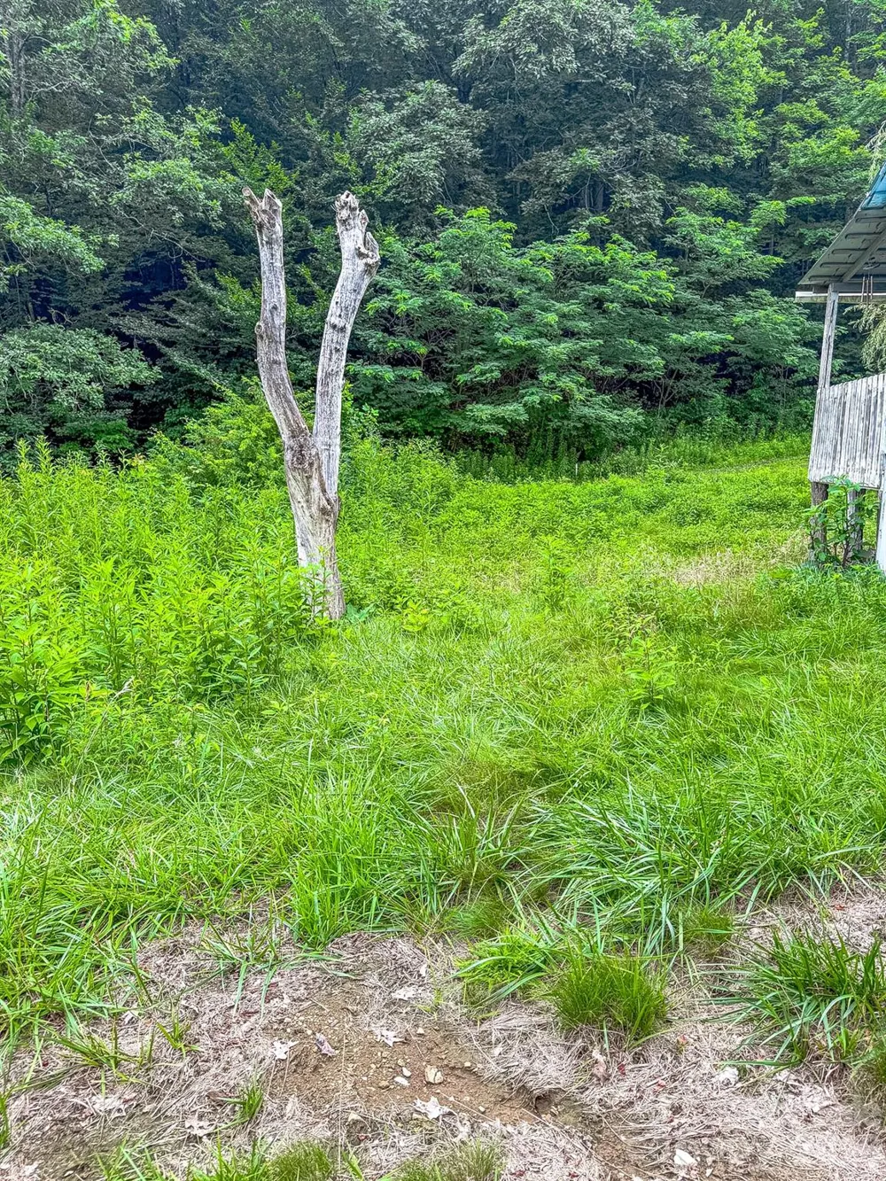 3454 Puncheon Fork Road Mars Hill, NC 28754