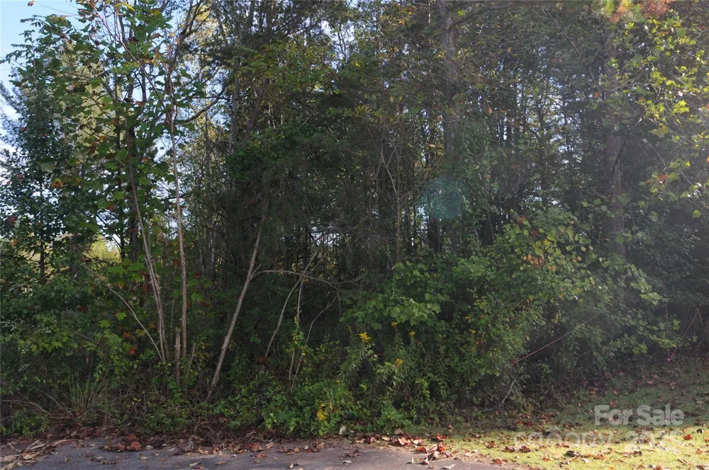 2320 DOBBINS COURT Vale, NC 28168