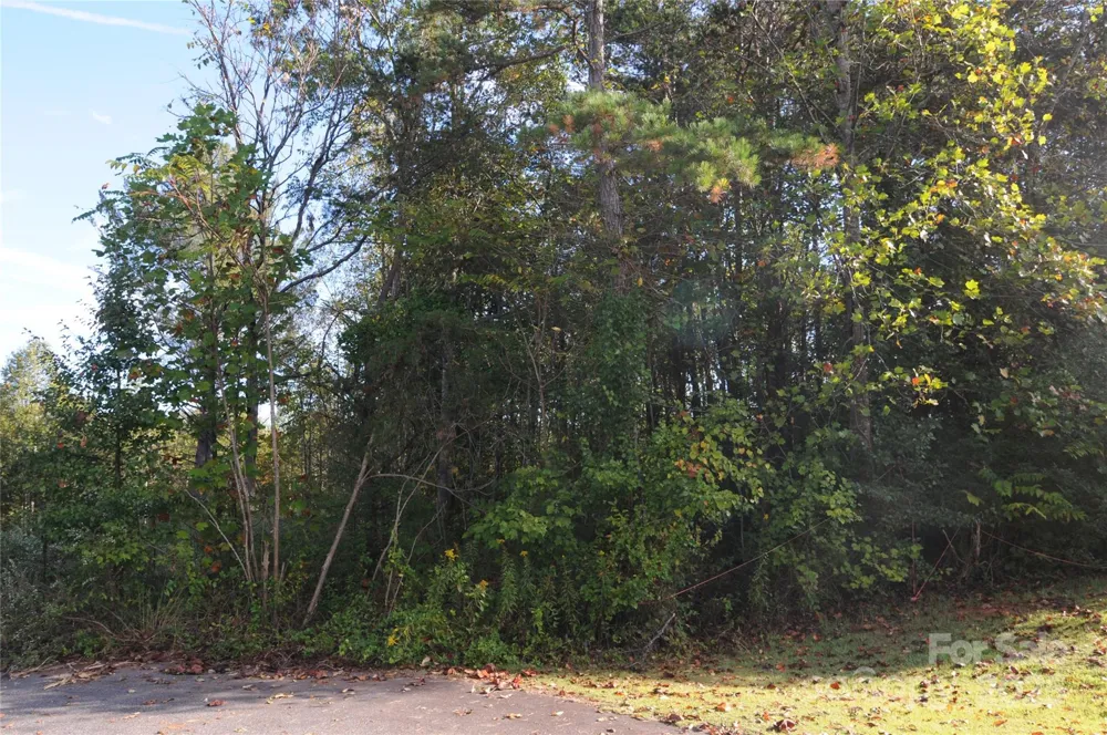 2320 DOBBINS COURT Vale, NC 28168