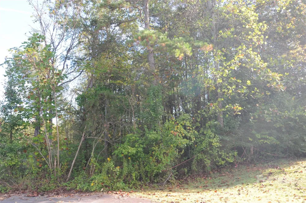 2320 DOBBINS COURT Vale, NC 28168