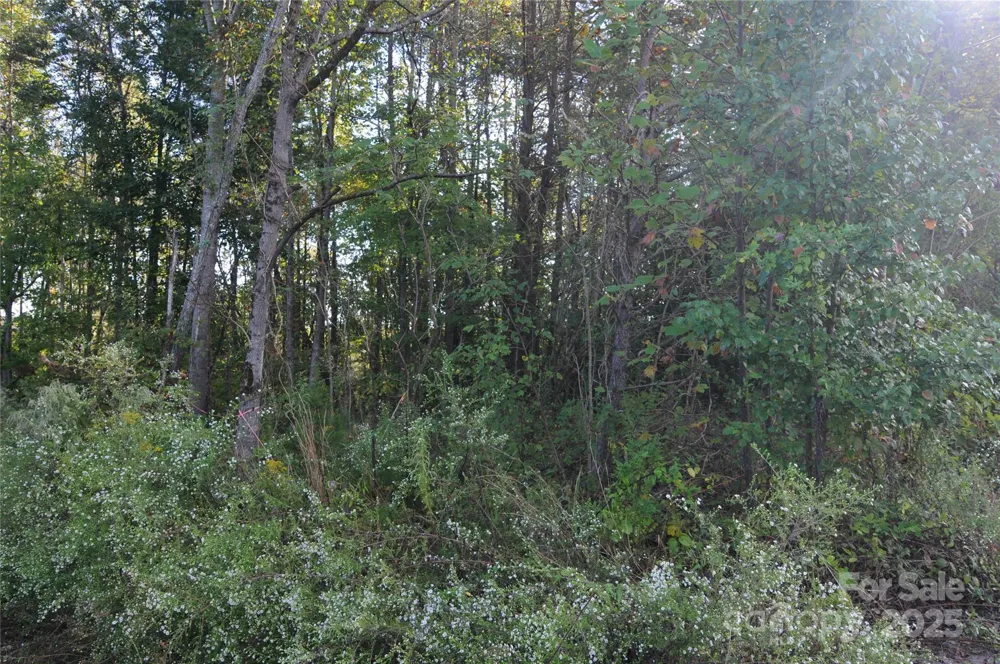 2320 DOBBINS COURT Vale, NC 28168
