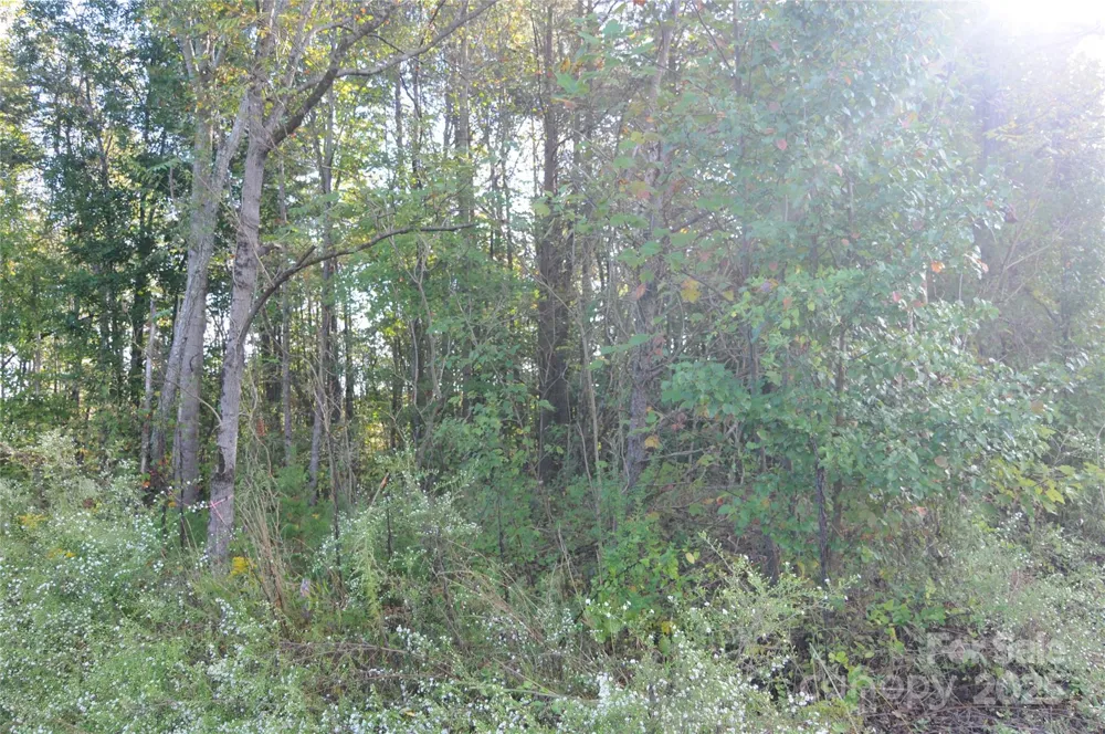 2320 DOBBINS COURT Vale, NC 28168