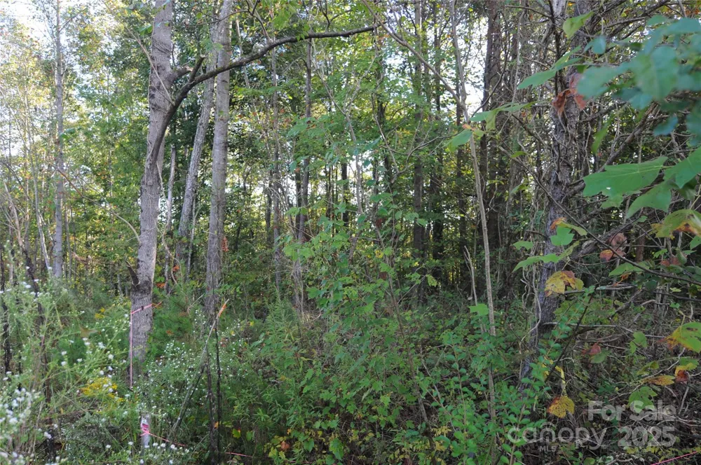 2320 DOBBINS COURT Vale, NC 28168
