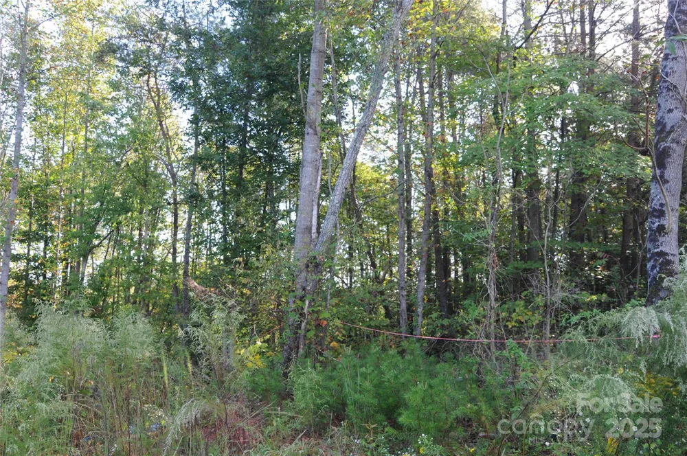2320 DOBBINS COURT Vale, NC 28168
