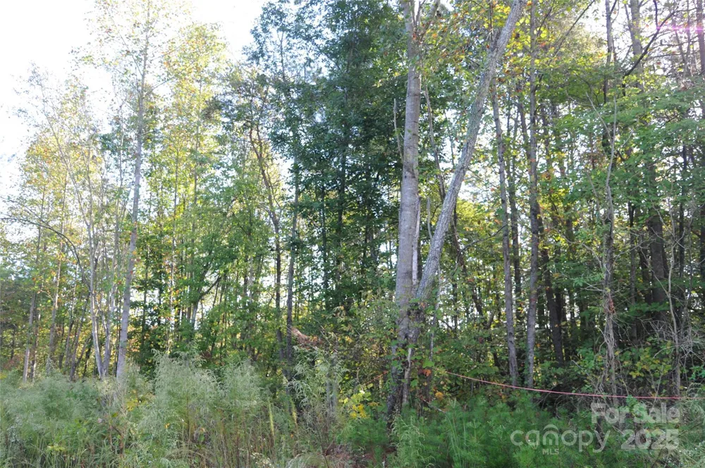2320 DOBBINS COURT Vale, NC 28168
