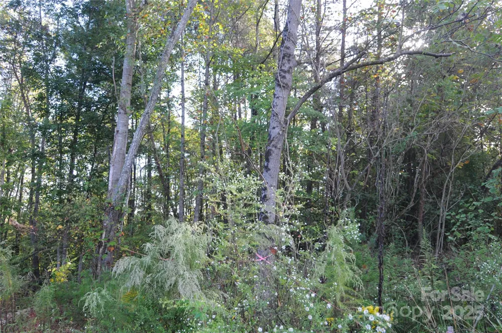 2320 DOBBINS COURT Vale, NC 28168