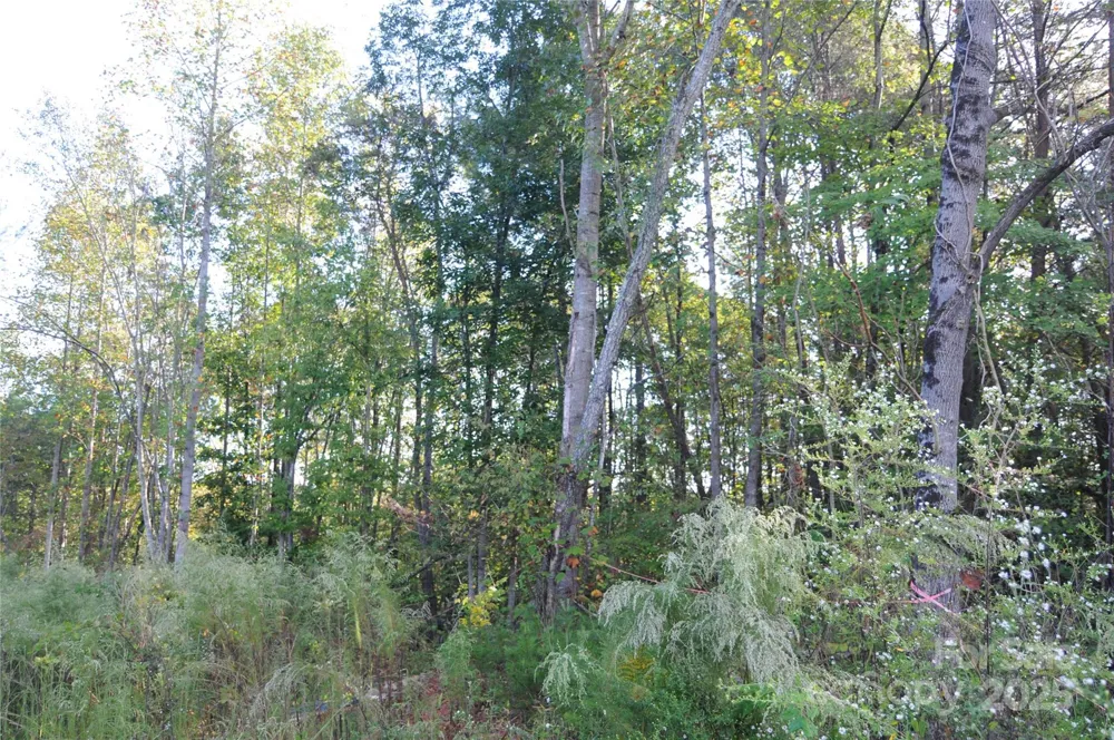 2320 DOBBINS COURT Vale, NC 28168