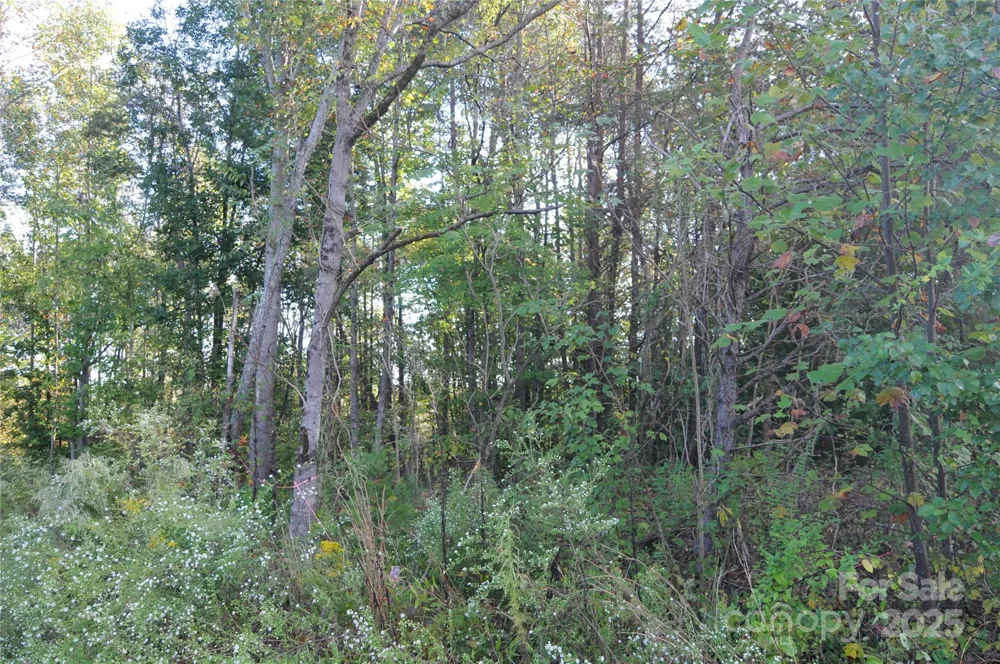 2320 DOBBINS COURT Vale, NC 28168