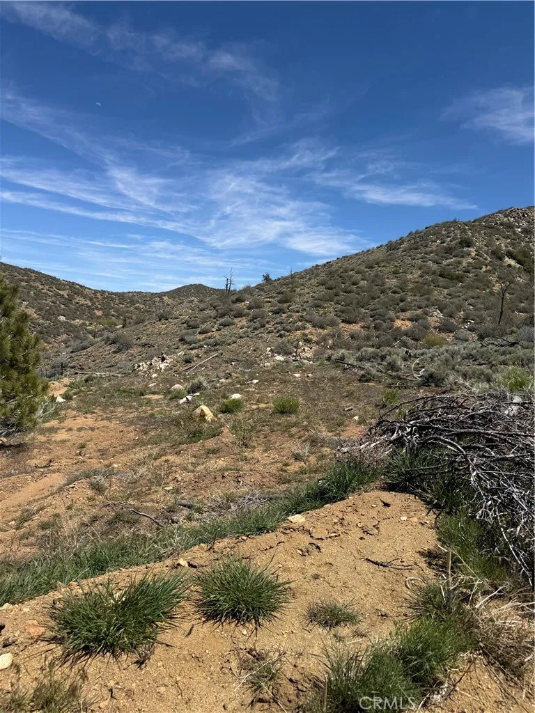 310-040-017 Pine Creek Valley Road Kennedy Meadows, CA 93527