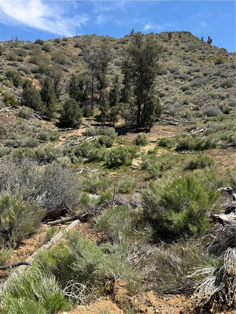 310-040-017 Pine Creek Valley Road Kennedy Meadows, CA 93527