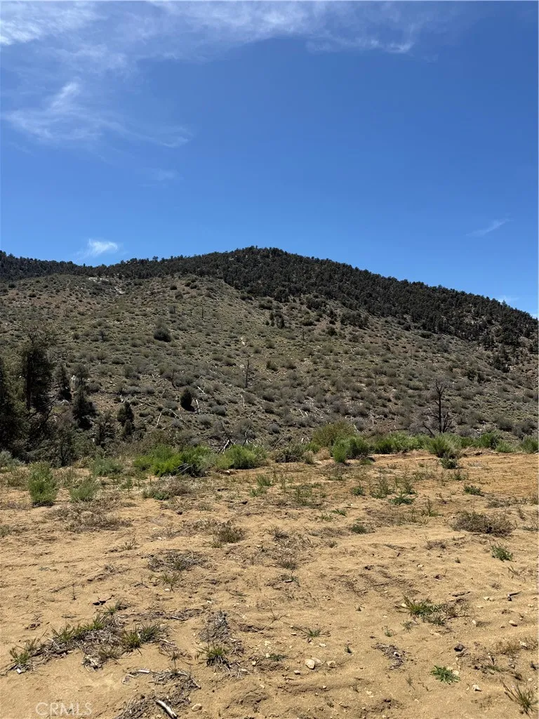 310-040-017 Pine Creek Valley Road Kennedy Meadows, CA 93527