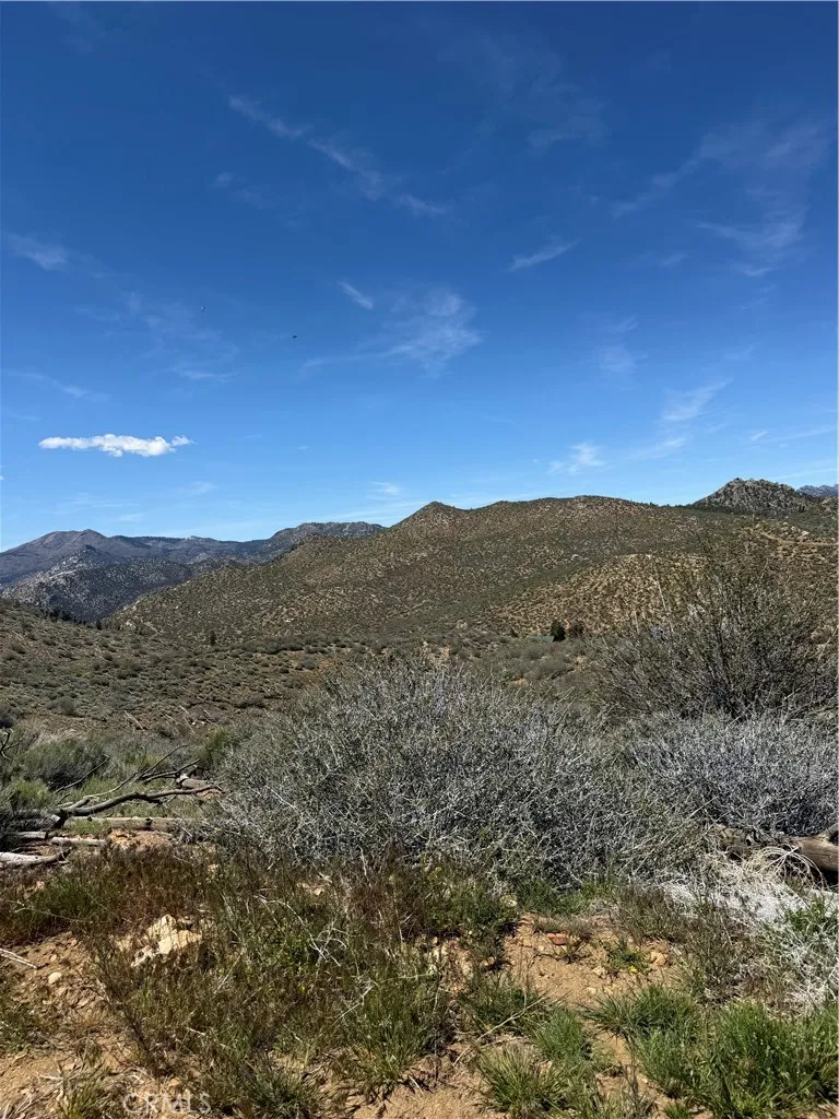 310-040-017 Pine Creek Valley Road Kennedy Meadows, CA 93527