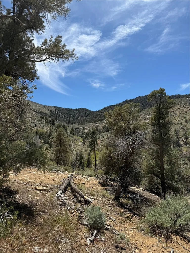 310-040-017 Pine Creek Valley Road Kennedy Meadows, CA 93527