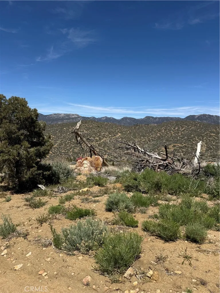 310-040-017 Pine Creek Valley Road Kennedy Meadows, CA 93527