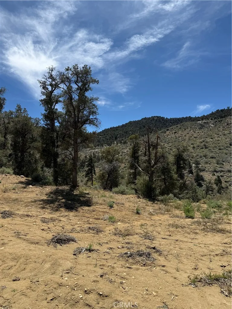 310-040-017 Pine Creek Valley Road Kennedy Meadows, CA 93527