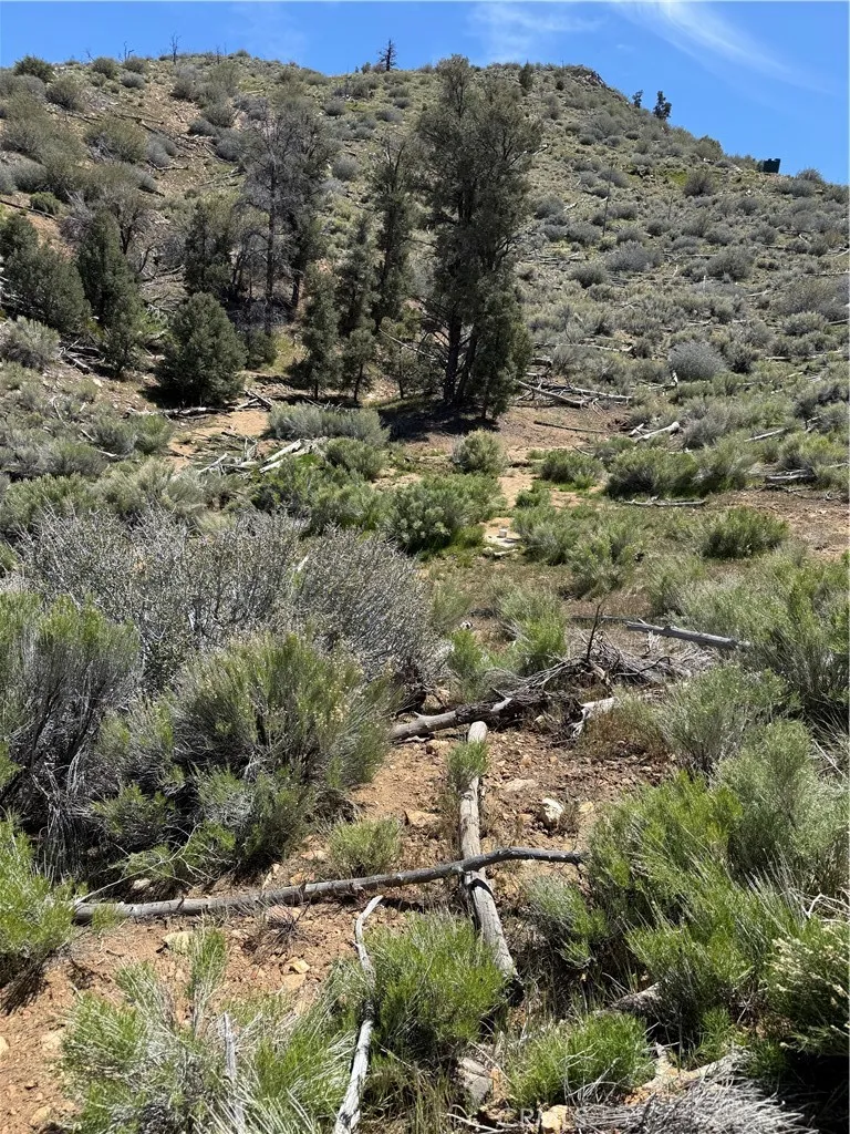 310-040-017 Pine Creek Valley Road Kennedy Meadows, CA 93527