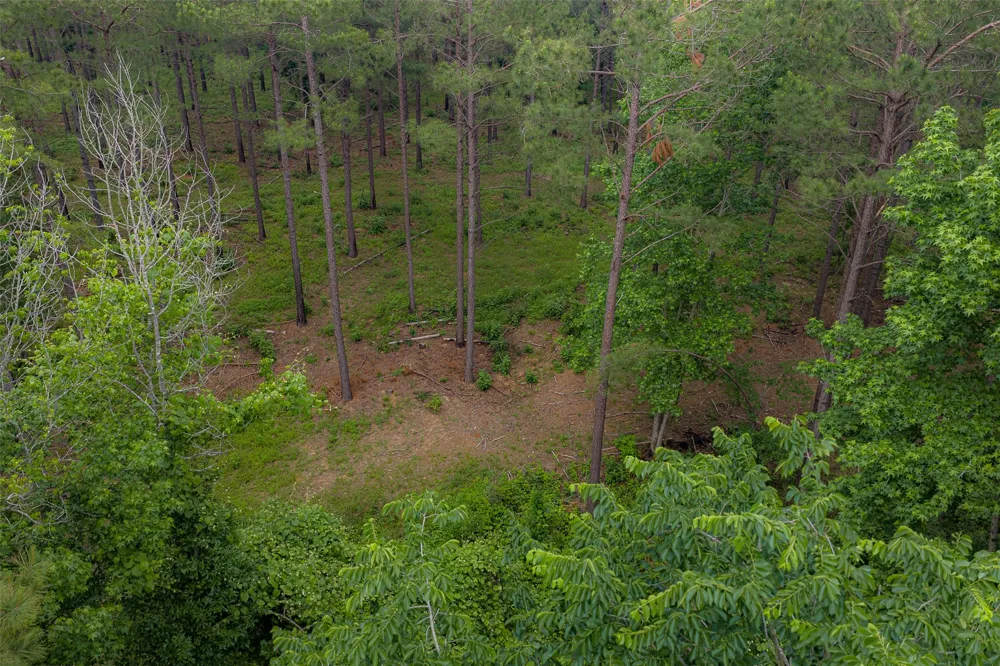 CR 155 Long Branch, TX 75669