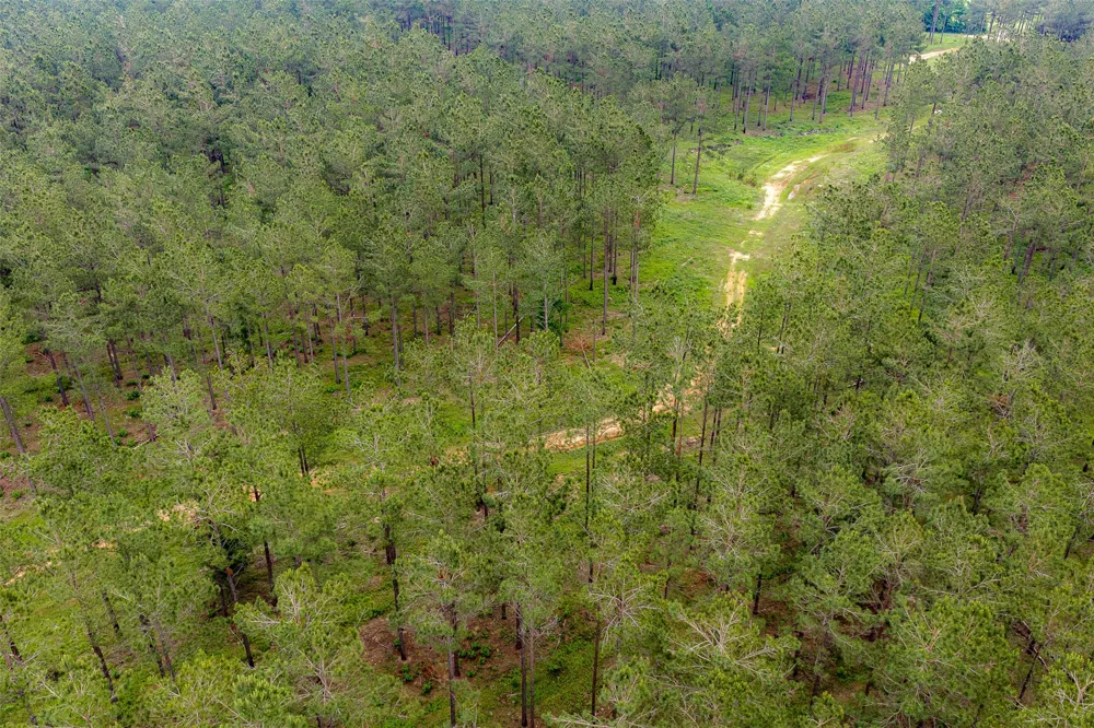 CR 155 Long Branch, TX 75669