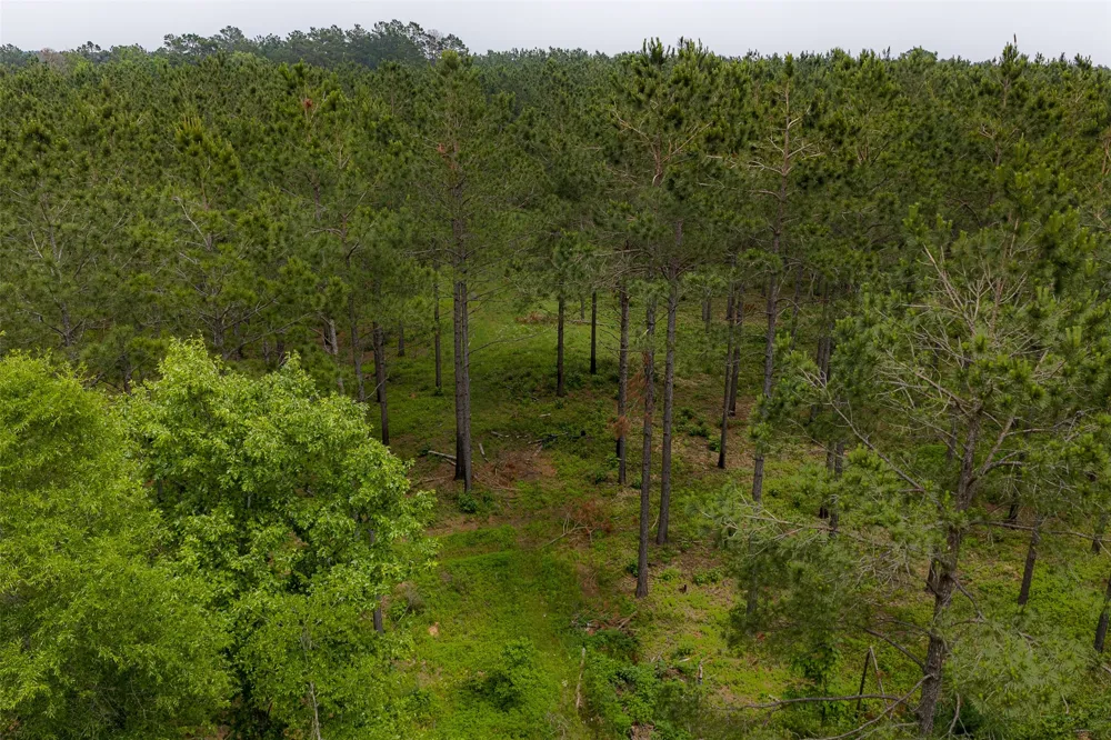 CR 155 Long Branch, TX 75669