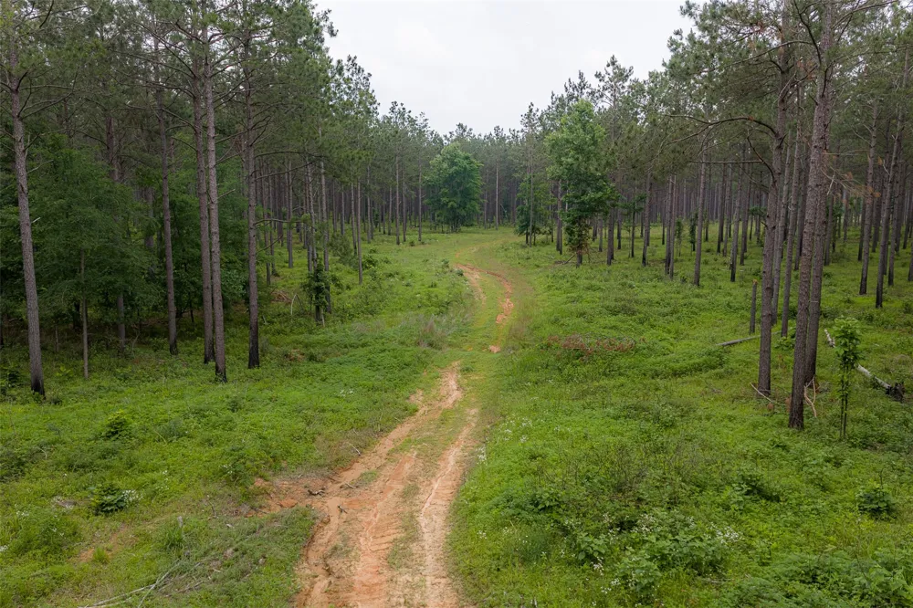 CR 155 Long Branch, TX 75669